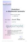 Revize 9001:2008 Revize 9001:2008